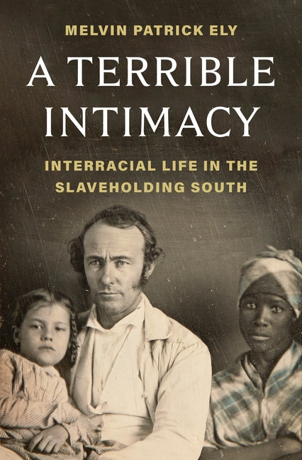 Book cover for Terrible Intimacy: Interracial Life in the Slaveholding South