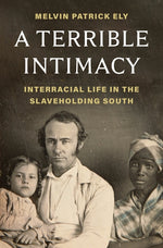 Book cover for Terrible Intimacy: Interracial Life in the Slaveholding South