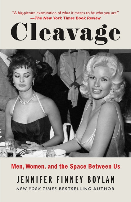 Book cover for Cleavage: Men, Women, and the Space Between Us