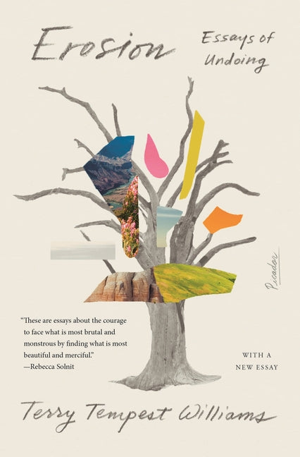 Book cover for Erosion: Essays of Undoing