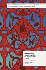 Book cover for Indelicacy