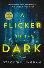 Book cover for A Flicker in the Dark