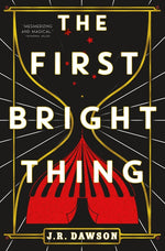 Book cover for The First Bright Thing