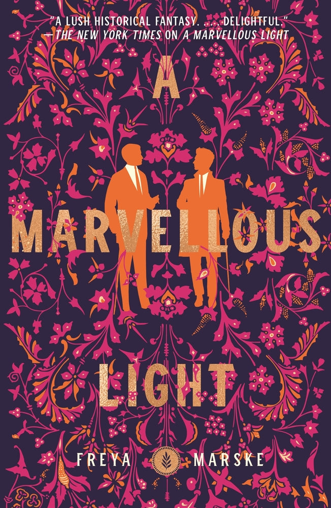 Book cover for A Marvellous Light