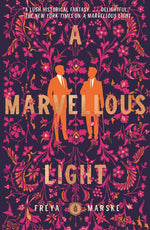 Book cover for A Marvellous Light