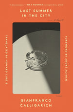 Book cover for Last Summer in the City