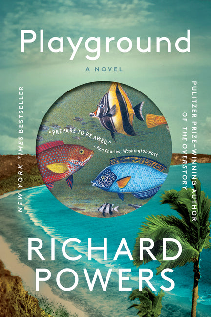 Book cover for Playground