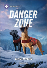 Book cover for Danger Zone (Original)