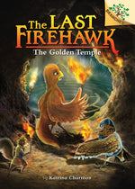 Book cover for The Secret Maze: A Branches Book (the Last Firehawk #10): Volume 10