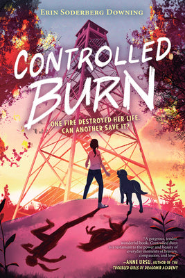 Book cover for Controlled Burn