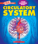 Book cover for Circulatory System (a True Book: Your Amazing Body)