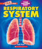 Book cover for Respiratory System (a True Book: Your Amazing Body)