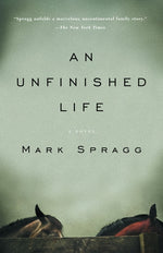 Book cover for Unfinished Life