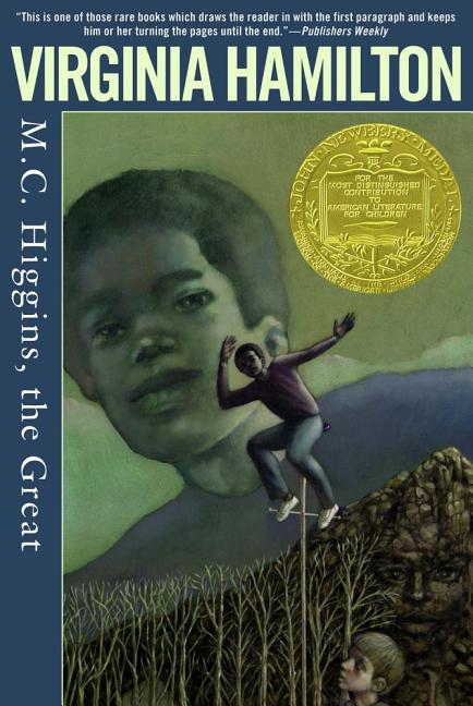 Book cover for M.C. Higgins, the Great (Reprint)