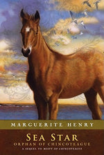 Book cover for Sea Star: Orphan of Chincoteague