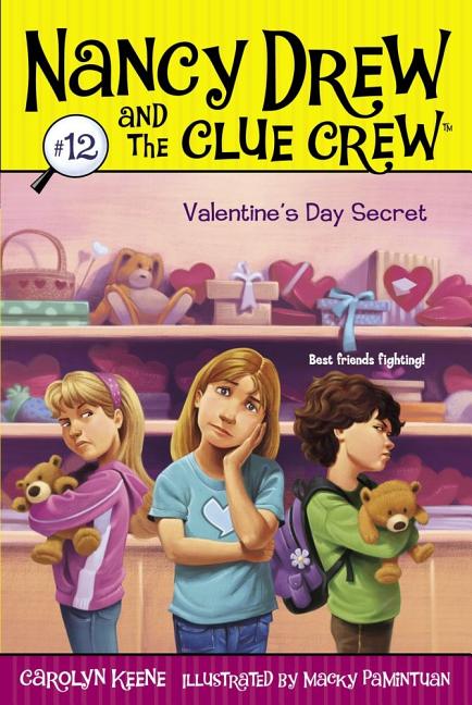 Book cover for Valentine's Day Secret