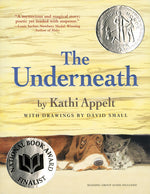 Book cover for Underneath (Reprint)