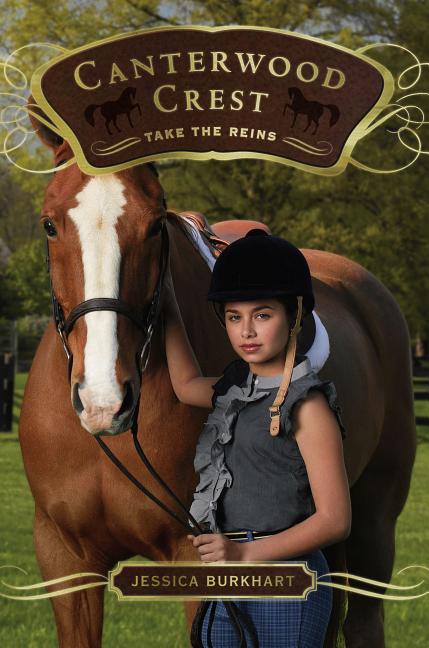 Book cover for Take the Reins (Original)