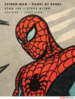 Book cover for Spider-Man: Panel by Panel
