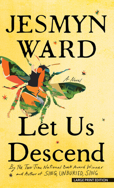 Book cover for Let Us Descend