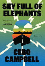 Book cover for Sky Full of Elephants