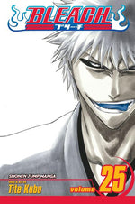 Book cover for Bleach, Vol. 25: No Shaking Throne