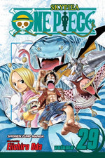 Book cover for One Piece, Vol. 29