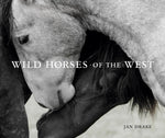 Book cover for Wild Horses of the West