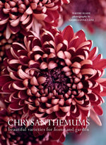 Book cover for Chrysanthemums: Beautiful Varieties for Home and Garden