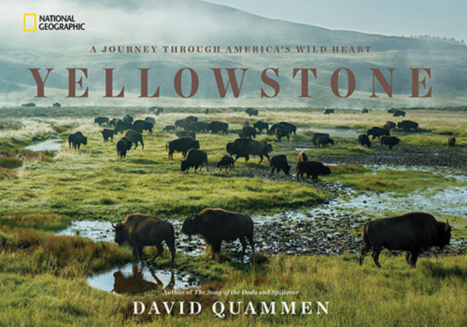 Book cover for Yellowstone: A Journey Through America's Wild Heart
