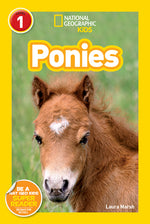 Book cover for Ponies