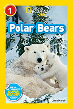 Book cover for Polar Bears
