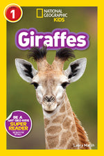 Book cover for Giraffes