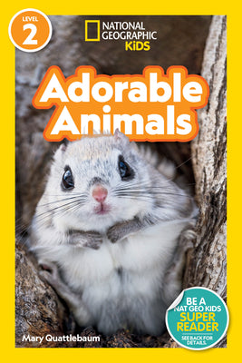 Book cover for National Geographic Readers: Adorable Animals (Level 2)