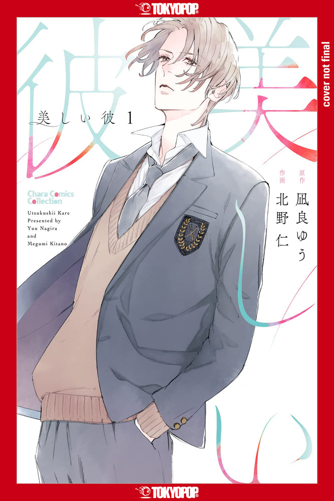 Book cover for My Beautiful Man, Volume 1 (Manga)