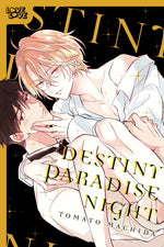 Book cover for Destiny Paradise Night