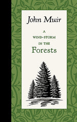 Book cover for Wind-Storm in the Forests