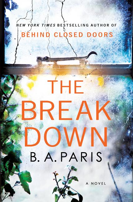 Book cover for The Breakdown