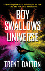 Book cover for Boy Swallows Universe
