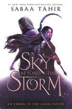Book cover for A Sky Beyond the Storm