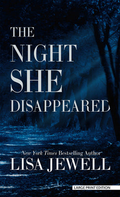 Book cover for The Night She Disappeared