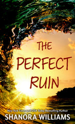 Book cover for The Perfect Ruin