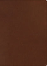 Book cover for ESV Chronological Bible (Trutone, Brown)