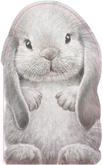 Book cover for Furry Bunny