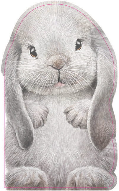 Book cover for Furry Bunny