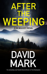 Book cover for After the Weeping (Main)