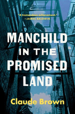 Book cover for Manchild in the Promised Land