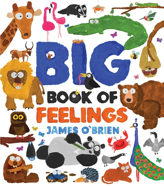 Book cover for Big Book of Feelings