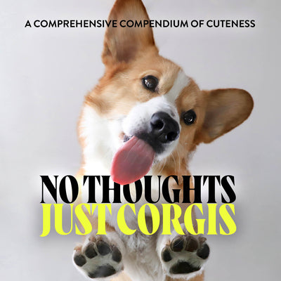 Book cover for No Thoughts Just Corgis: A Comprehensive Compendium of Cuteness