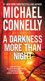 Book cover for A Darkness More Than Night
